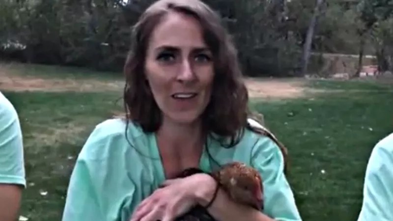 Denver Animal Group’s “Rescue” of 3 Chickens Causes Social-Media Frenzy