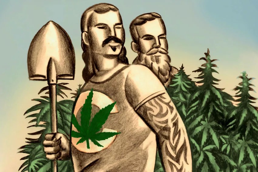 How the Move to Unionize Cannabis Workers Stalled in Colorado