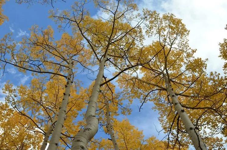 Op Ed: The Enlightened State of Colorado