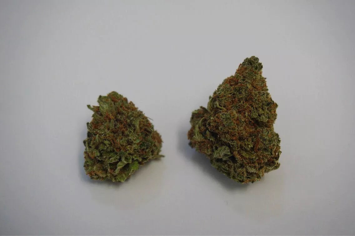 Why Colorado Tokers Love LSD