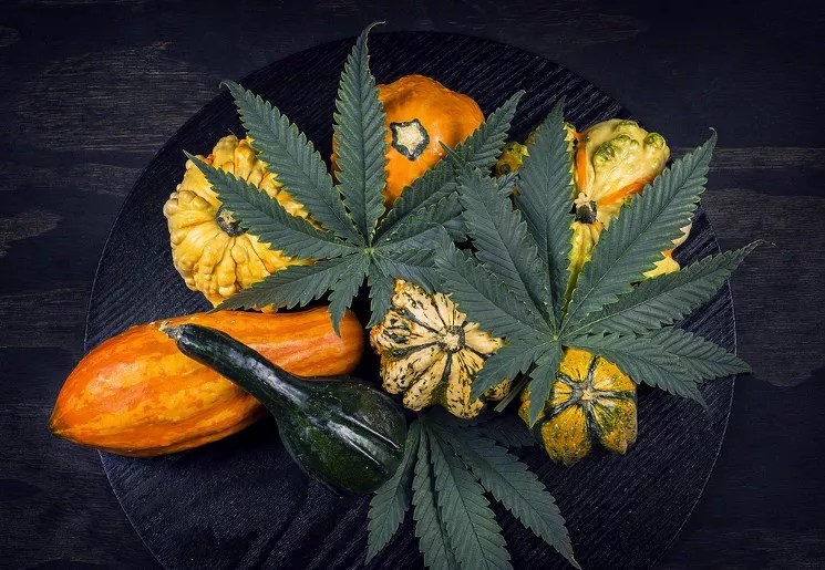 Ten Strains to Help You Grub the F*ck Out on Thanksgiving