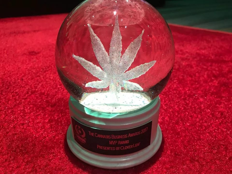 Colorado Companies Dominate Cannabis Business Awards