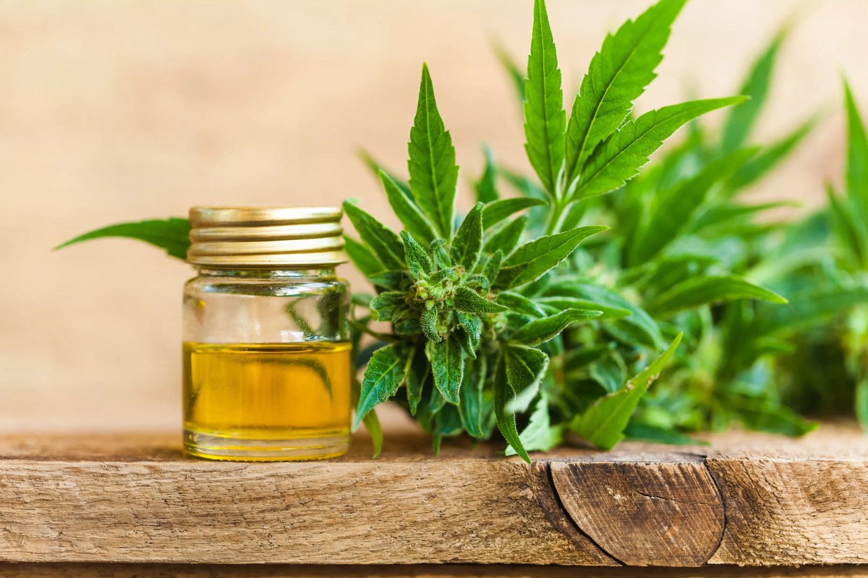 World Health Organization: CBD Shouldn’t Be a Scheduled Substance