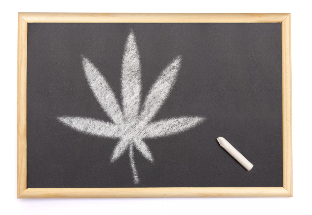 Denver-Based Pot Education Program Is Going to College