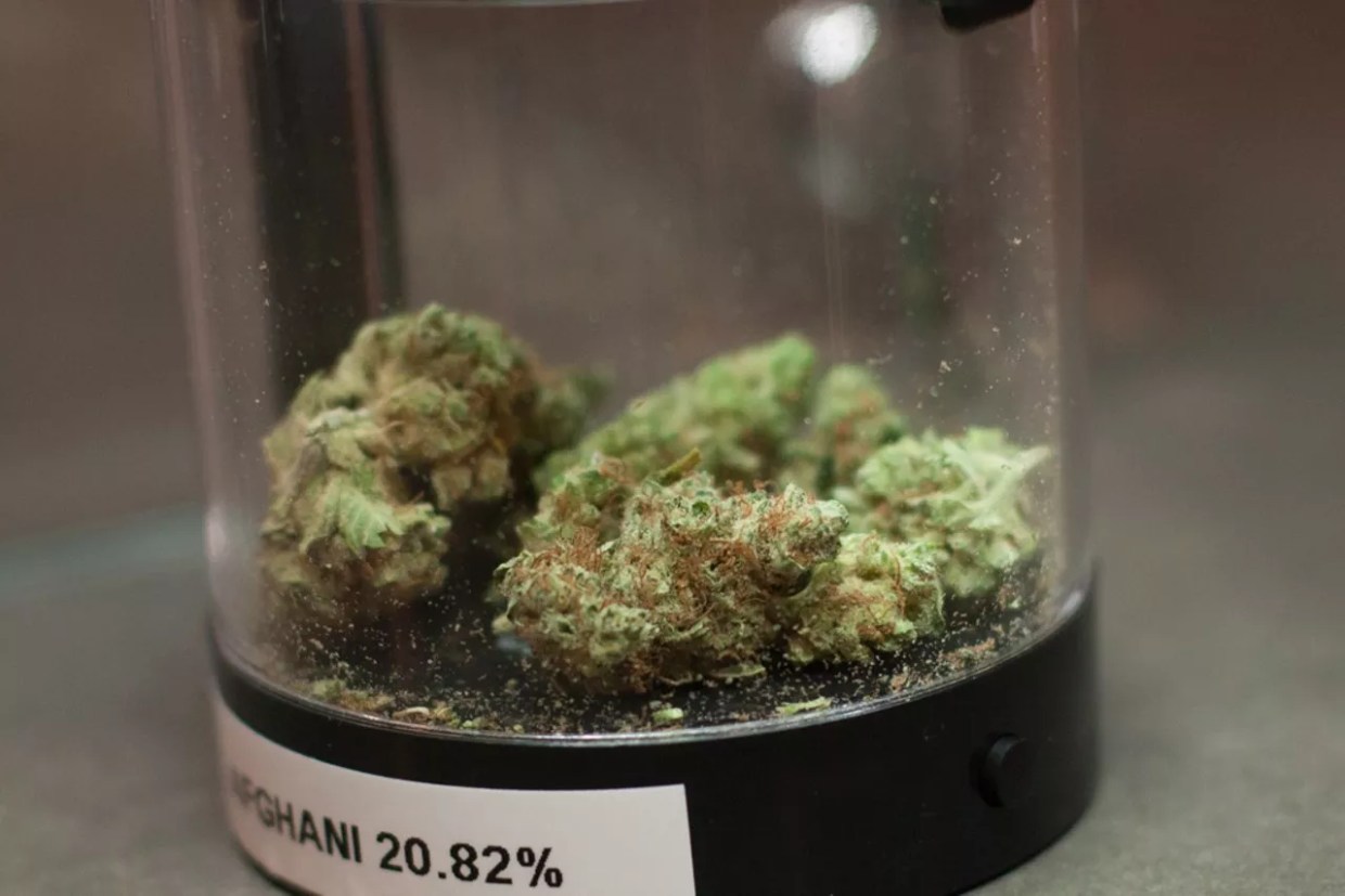 Move Over, Colorado: California Opens for Retail Pot Sales