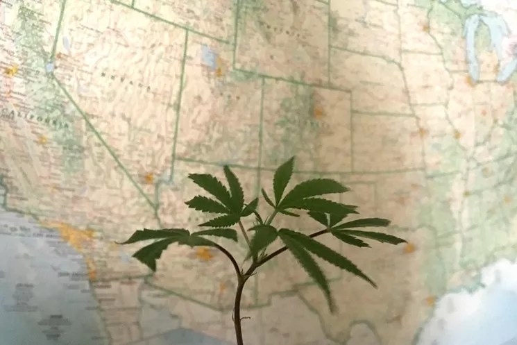 Five States Voting on Marijuana Measures in November, Including Colorado