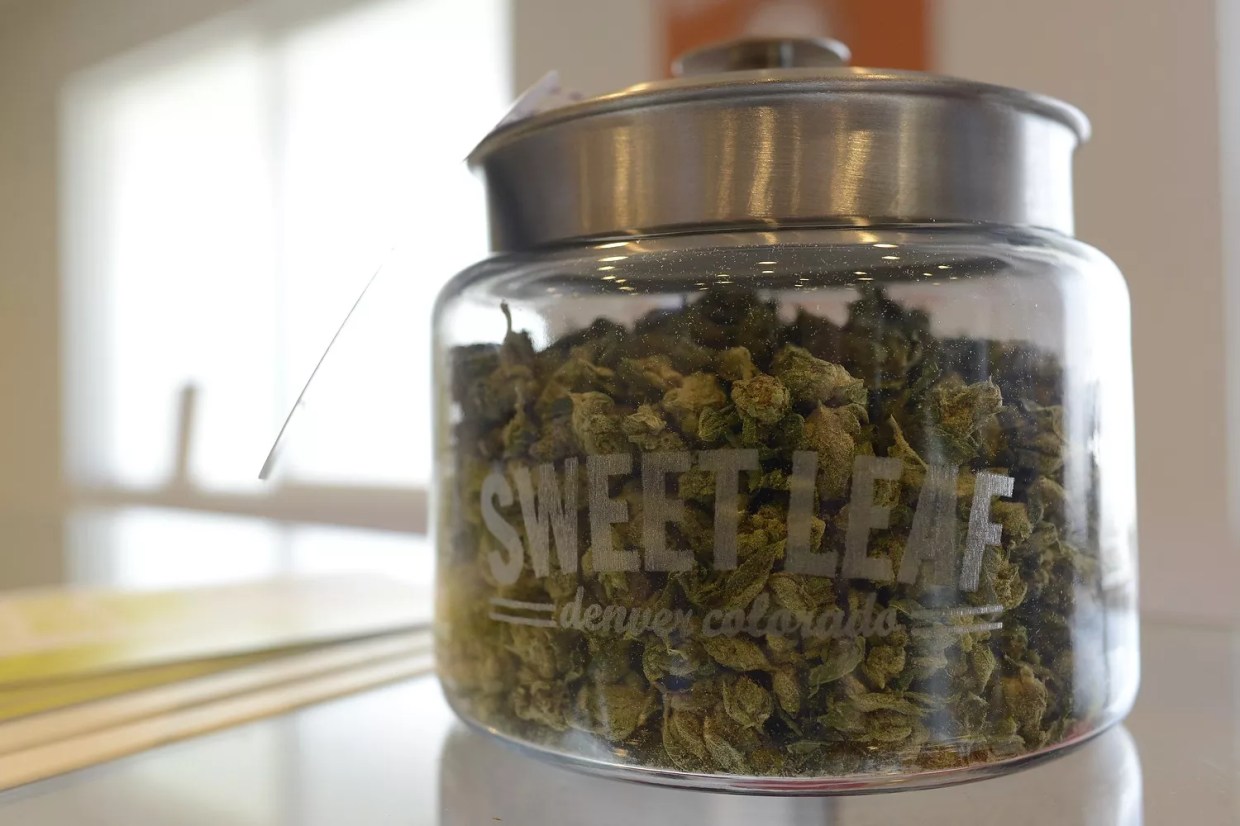 What Are Sweet Leaf’s MMJ Patients Supposed to Do Without Caregivers?