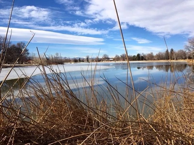 Op Ed: A Day in the Life of City Park