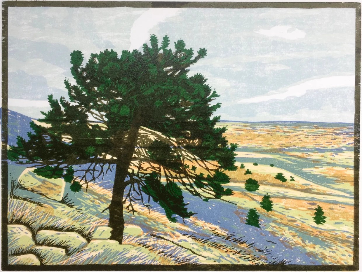 Twelve Ways to Celebrate Denver’s Month of Printmaking 2018