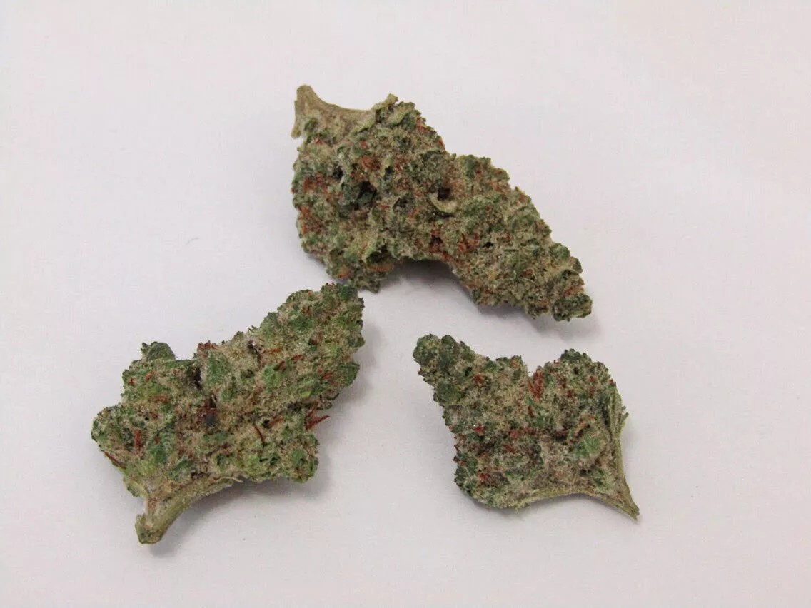 Why Colorado Tokers Love Hercules