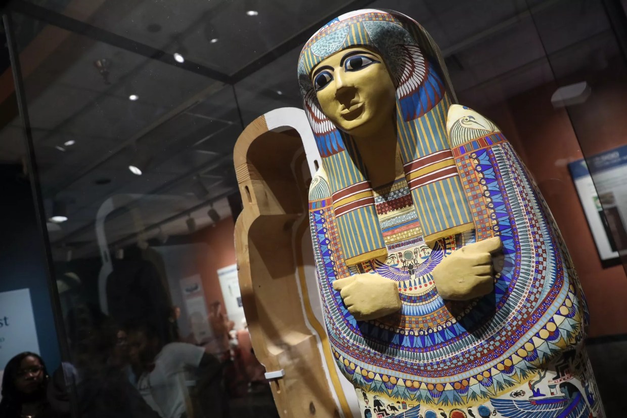 Nature & Science Museum Doesn’t Track Millions of Items and Specimens, Audit Finds