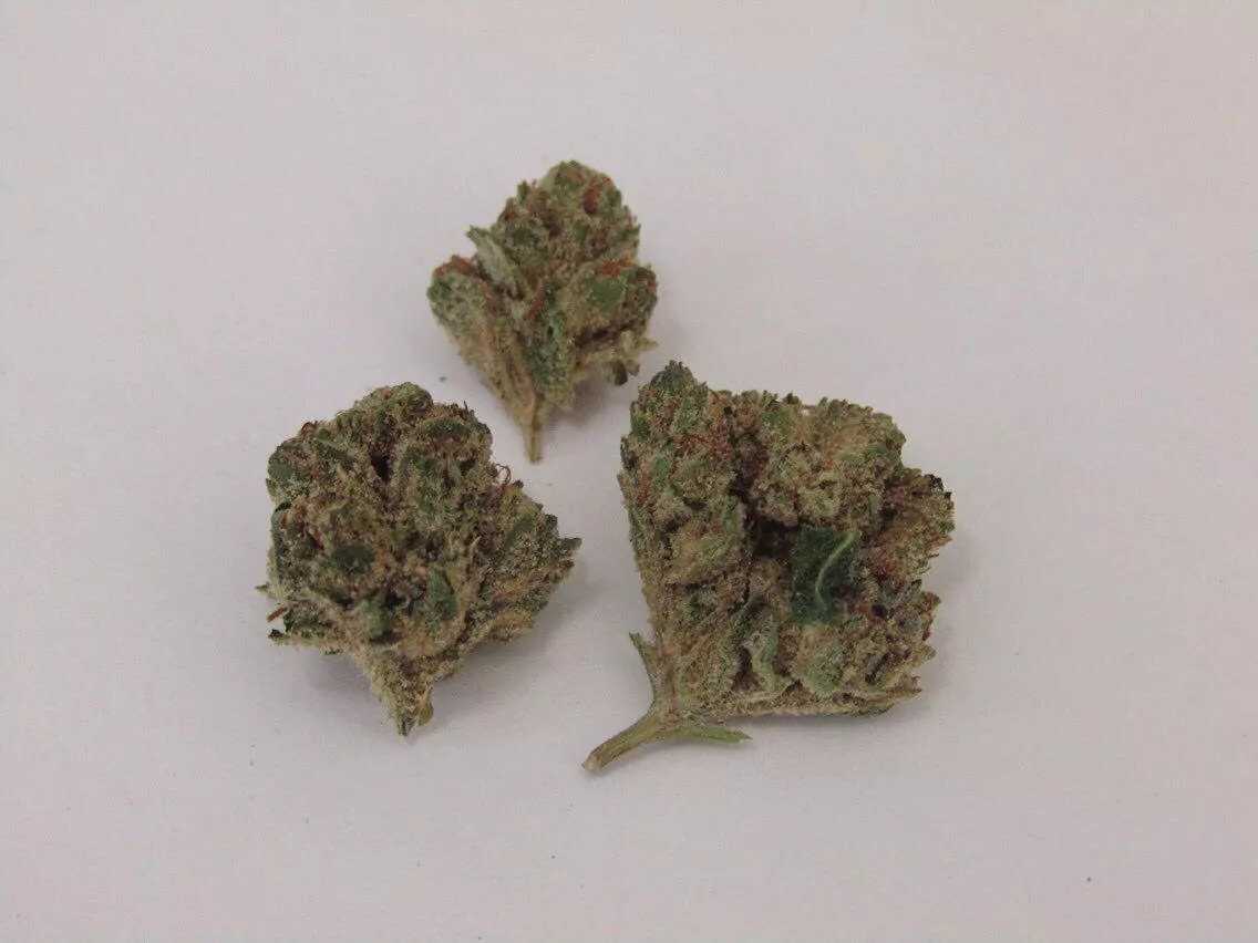 Why Colorado Tokers Love 303 OG