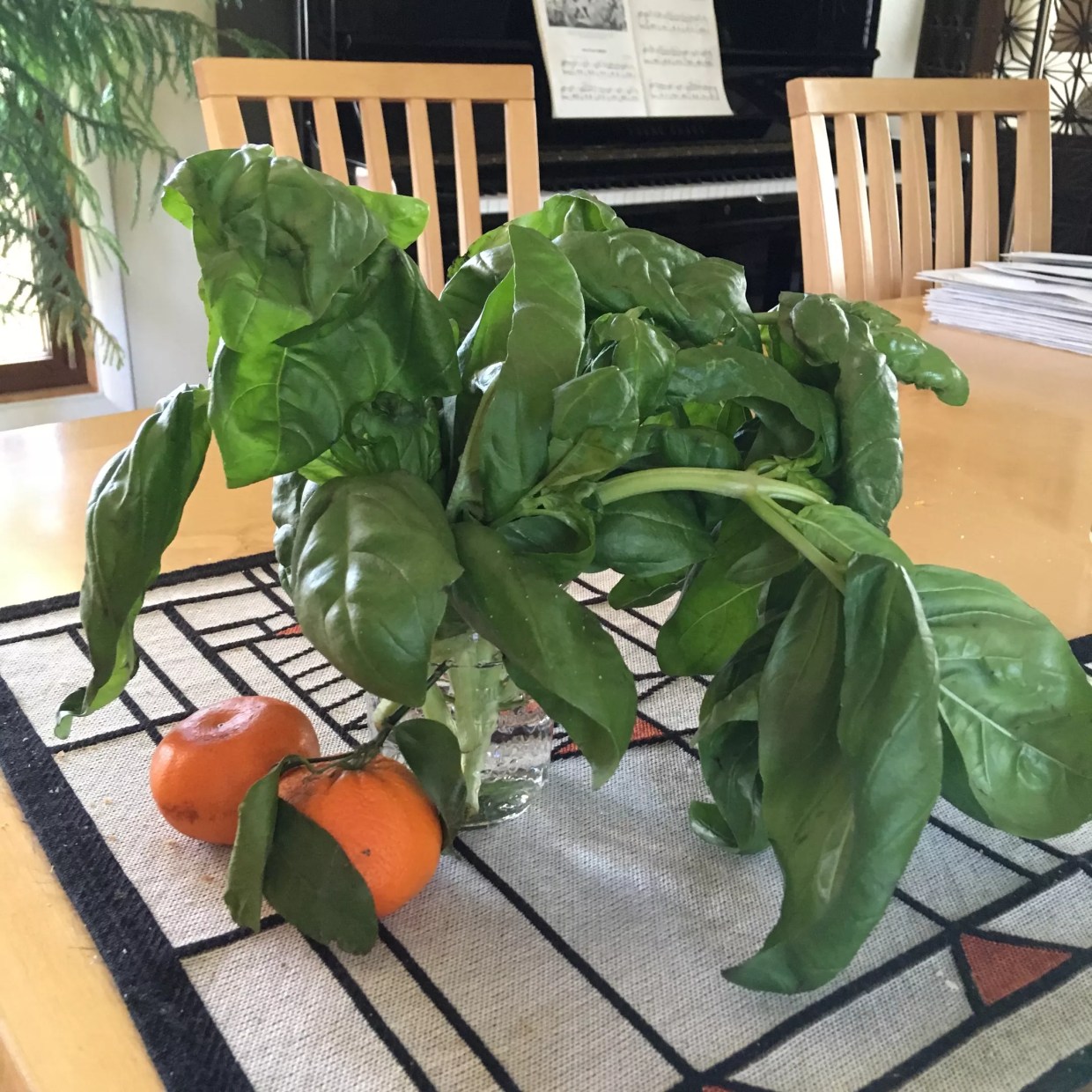 The First Boulder Farmers Market Heralds the Arrival of Spring