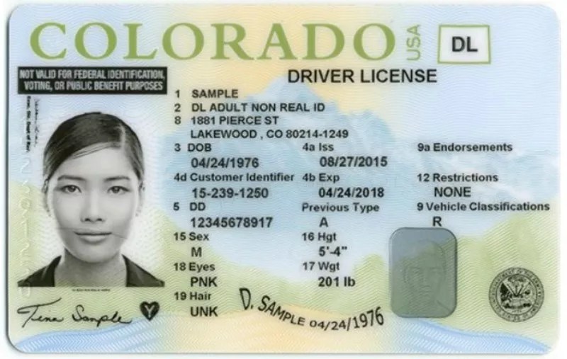 Expanded Access to Undocumented Driver’s Licenses Passes: Here’s Why