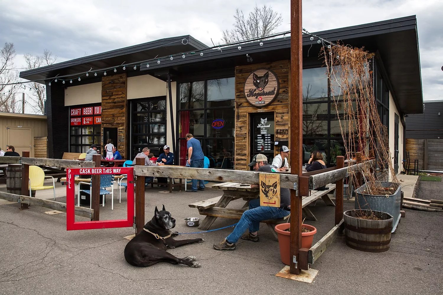 dogs sitting on a brewery patio