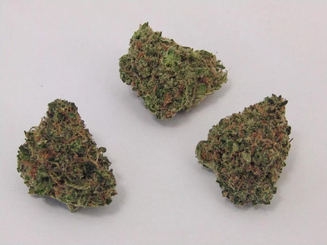 Why Colorado Tokers Love Pineapple Trainwreck