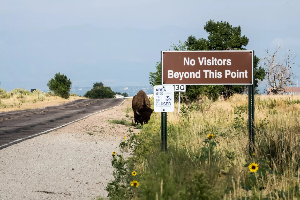 Ten More Things to Remember Around Colorado Wildlife