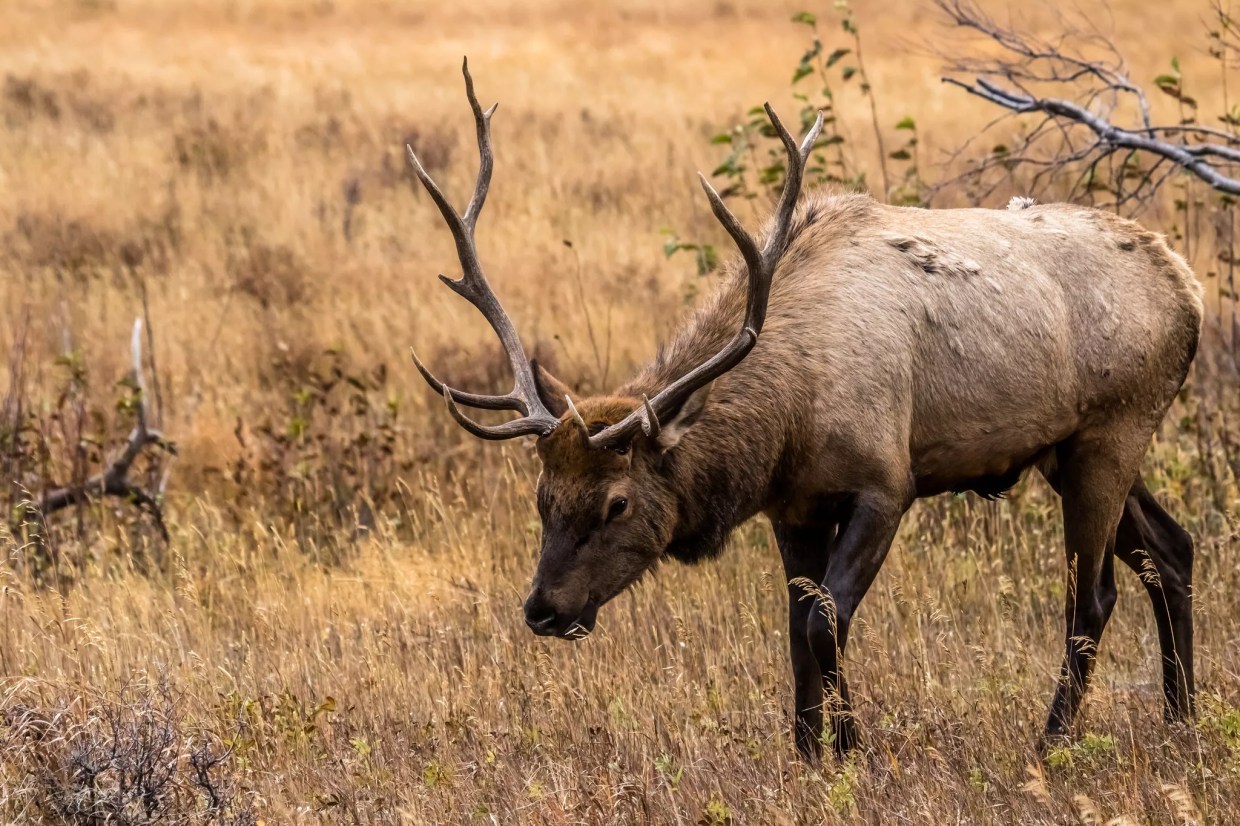 Work It! Seven Ways to Celebrate Colorado Public Lands Day