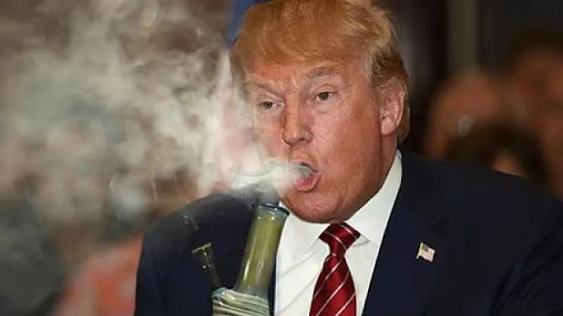 Trump Says He’ll “Probably” Support Cory Gardner’s Back-Off-Feds Pot Bill