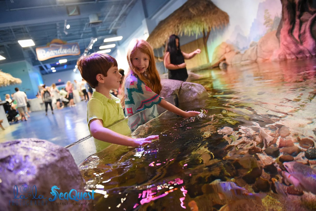 Tanks for the Memories: Our Deep Dive Into Denver’s Aquariums