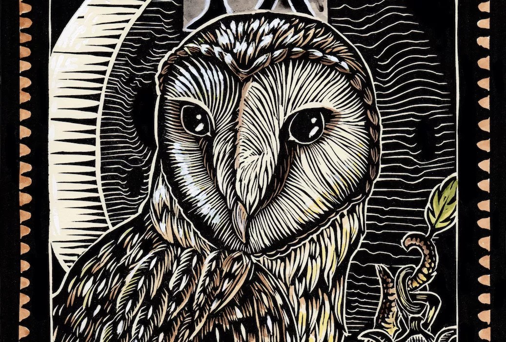 100 Colorado Creatives 4: Emi Brady