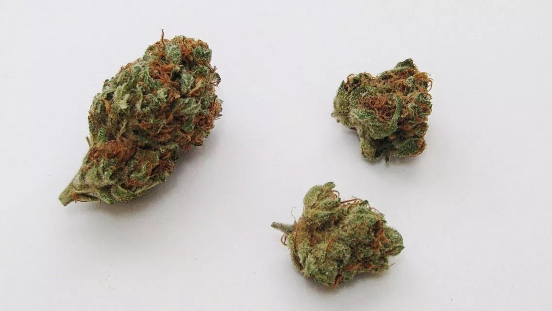 Why Colorado Tokers Love Grapefruit