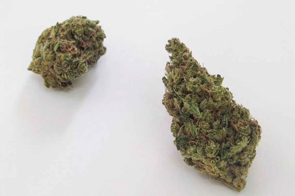 Why Colorado Tokers Love Grape Skunk