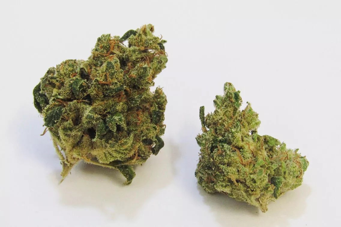 Why Colorado Tokers Love Pucker