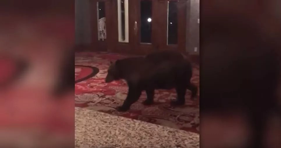 Ten Signs That You Definitely Live in Colorado