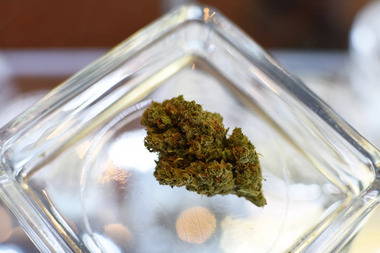 Seven New or Rare Strains Around Denver Worth Trying