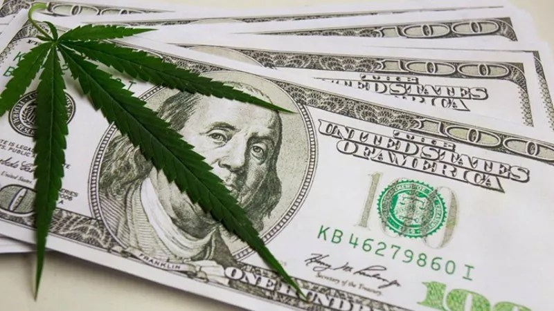 Inside the Nastiest Colorado Marijuana Industry Lawsuits Ever