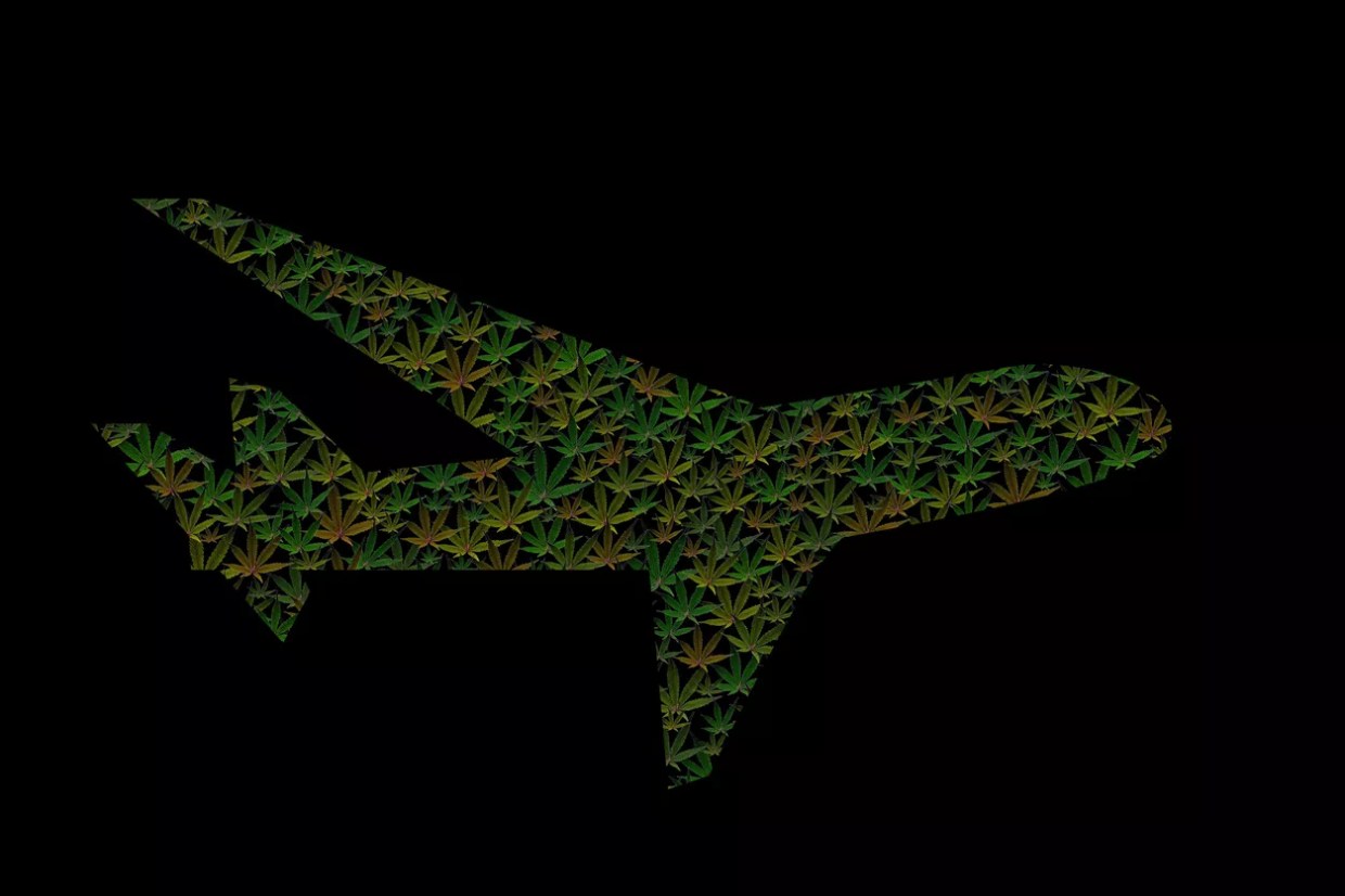 Ask a Stoner: Can My Bong Fly With Me?