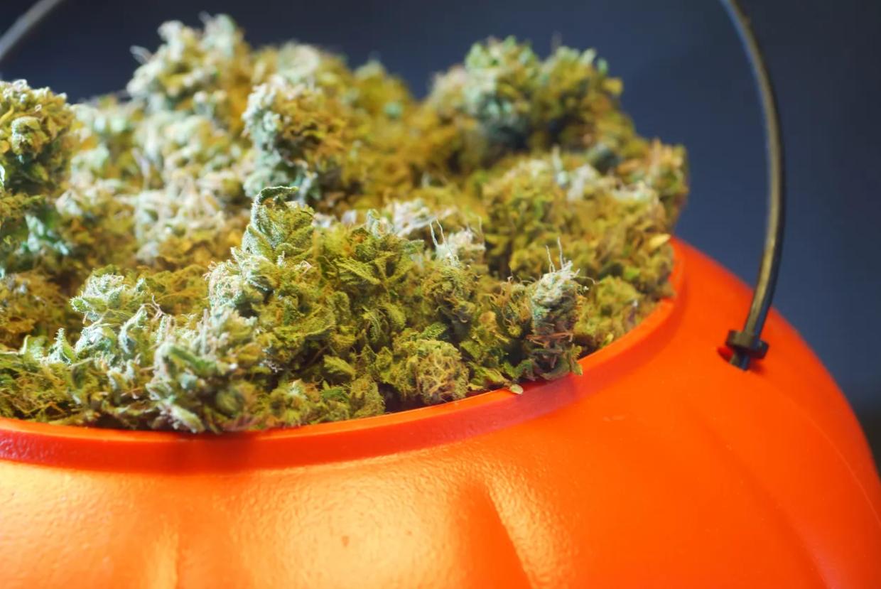 Reader: No One’s Giving Out Expensive Edibles on Halloween