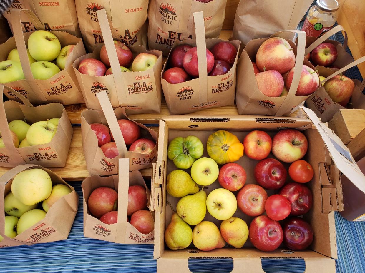 Ela Family Farms Suspends 2021 CSA After Severe Tree Loss