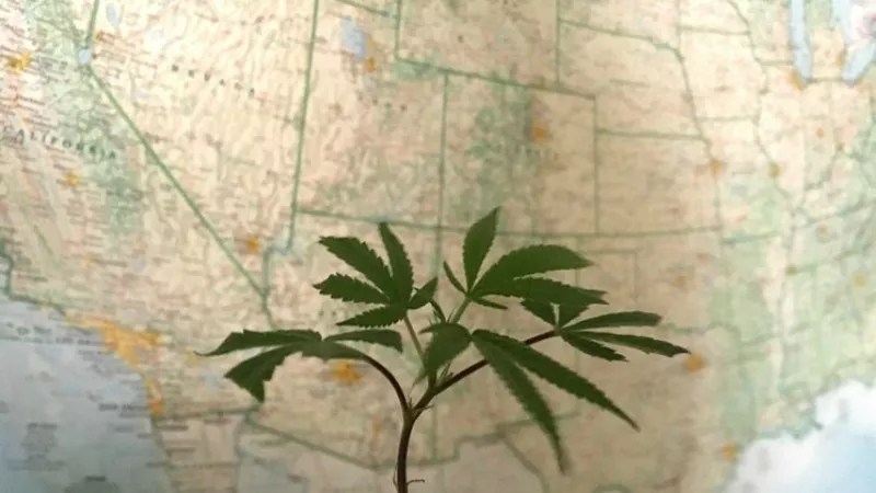 Lobbying for the Leaf With Brownstein Hyatt’s Melissa Blake