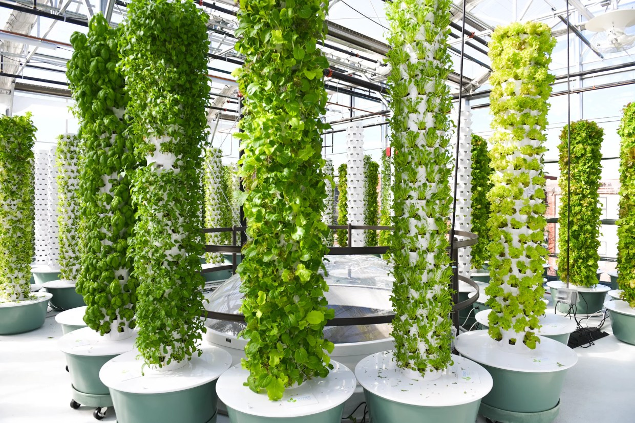 The Five Best Events on the Culinary Calendar This Week