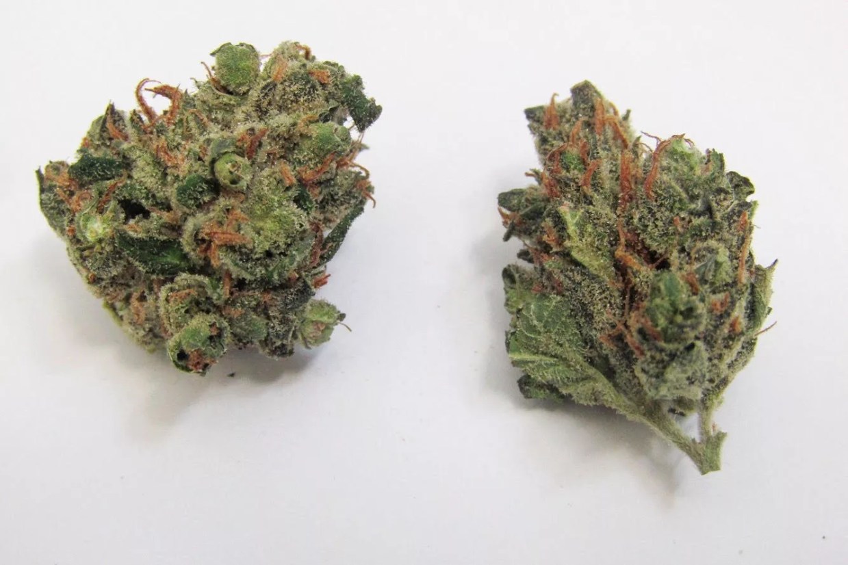 Why Colorado Tokers Love Sour Pez