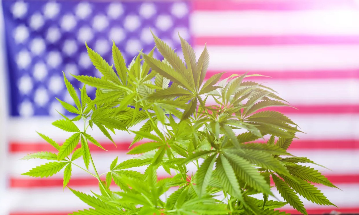Op Ed: The Other Side of “Reefer Madness”
