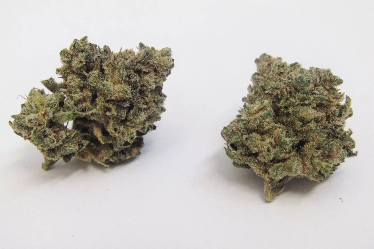 Why Colorado Tokers Love Beijinho