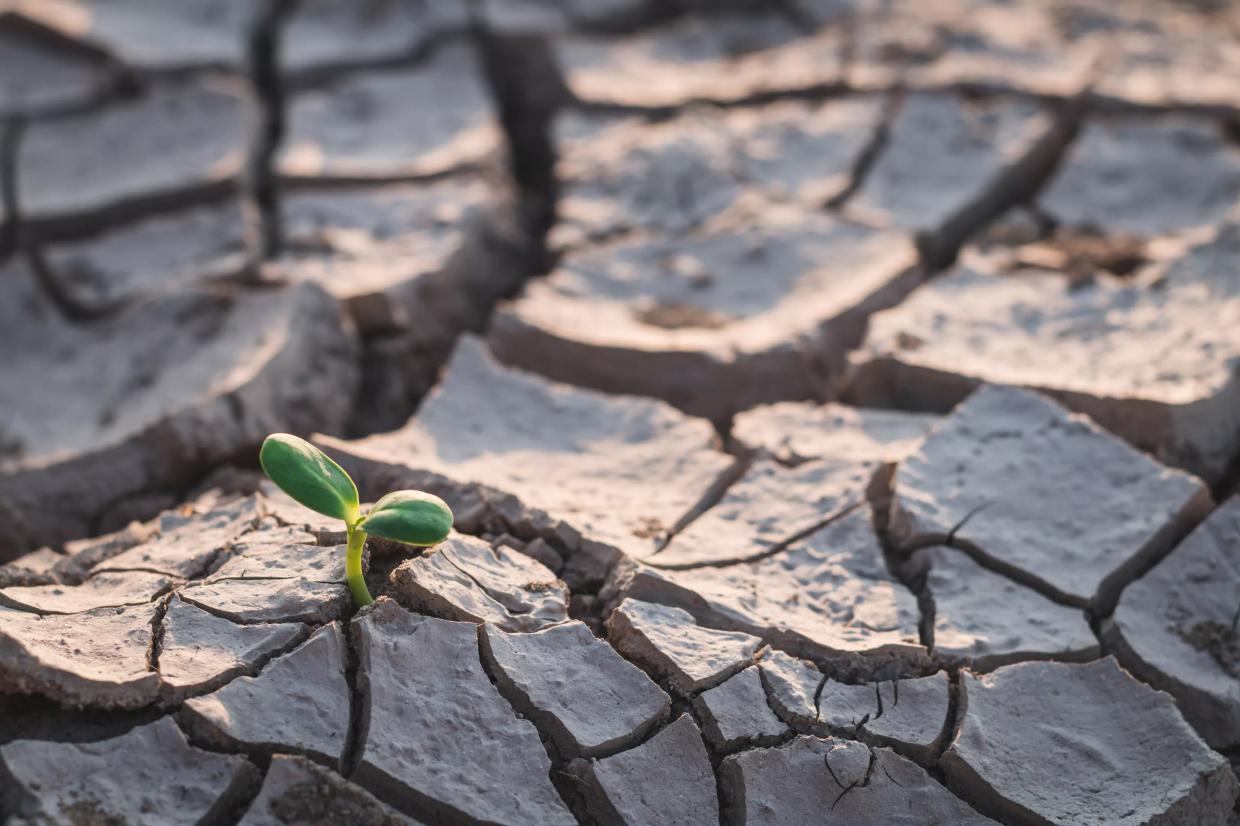 Op-Ed: Nonprofits Should Work Together to Fight Climate Change