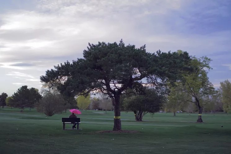 Denver Museum of Nature & Science Will Redevelop City Park Playground