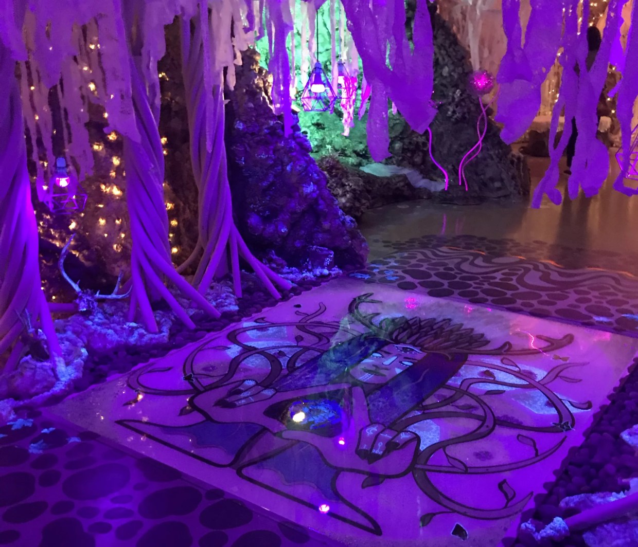 Explore and Experience <i>Natura Obscura </i>at the Museum of Outdoor Arts