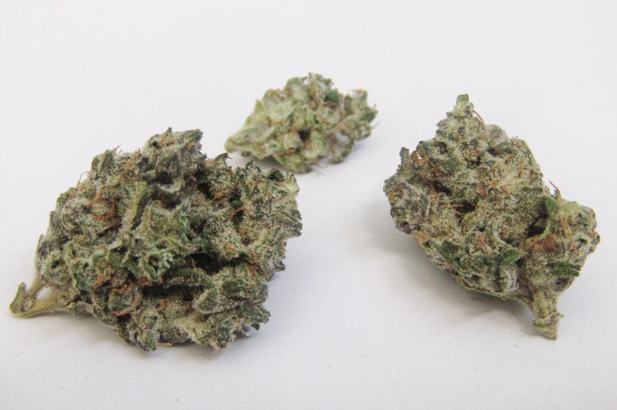 Why Colorado Tokers Love Grease Ball