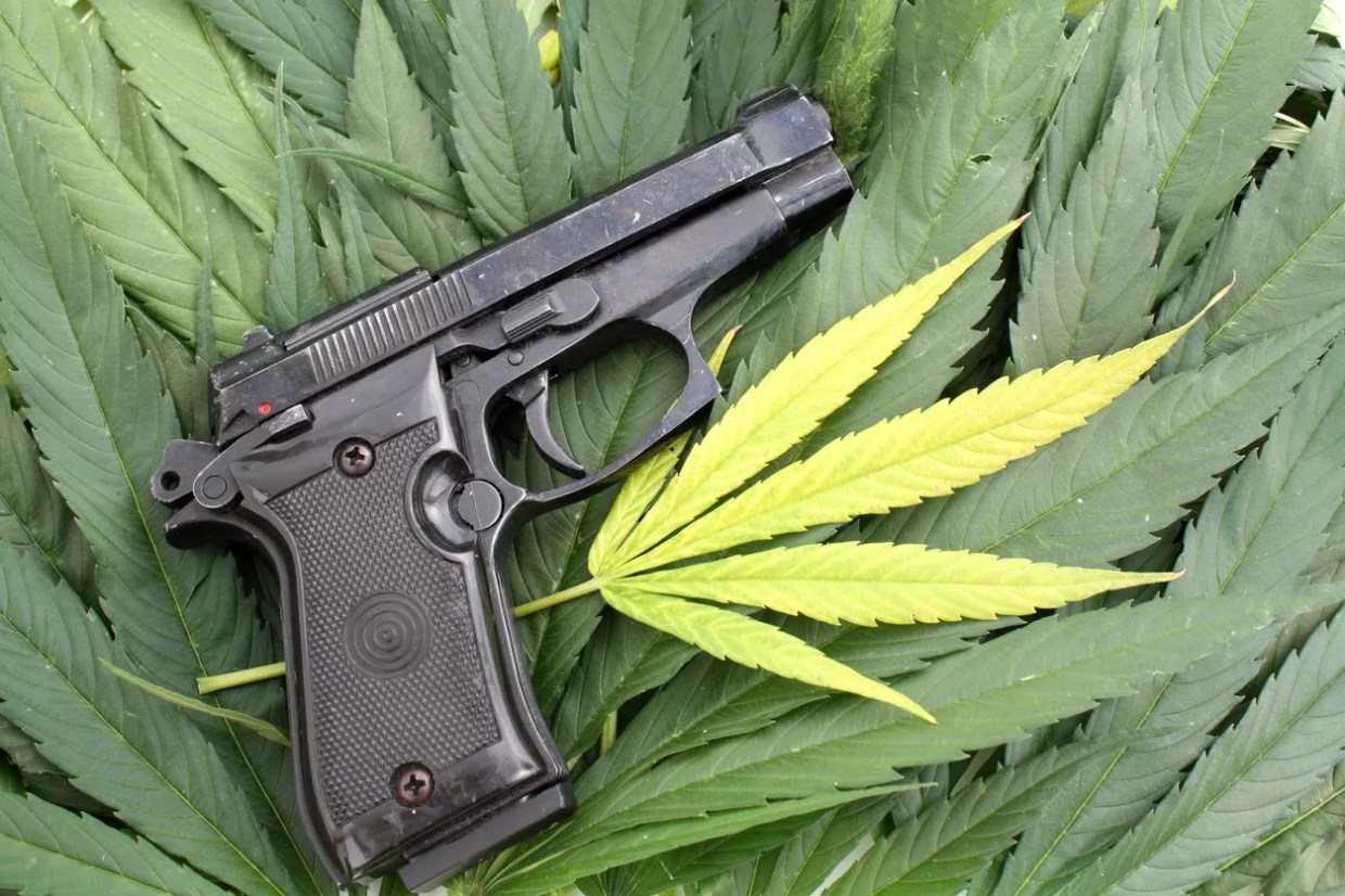 Ballot Initiative Granting Gun Rights to Marijuana Users Resubmitted