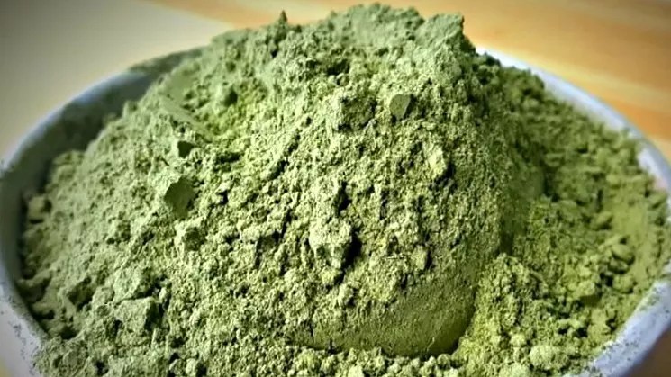 Kratom Imported by Denver Company Seized by the Feds