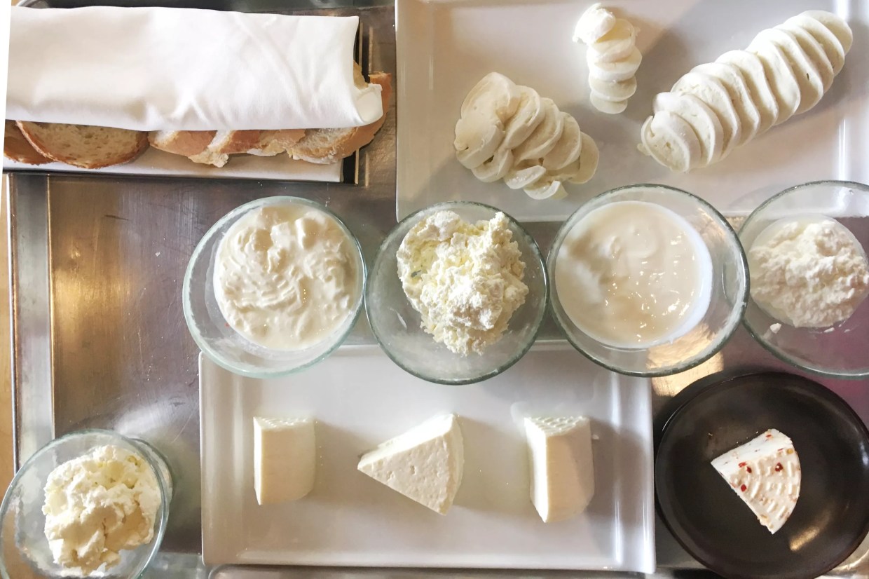 Housemade Italian Cheese Is on the Agenda at Liberati Osteria