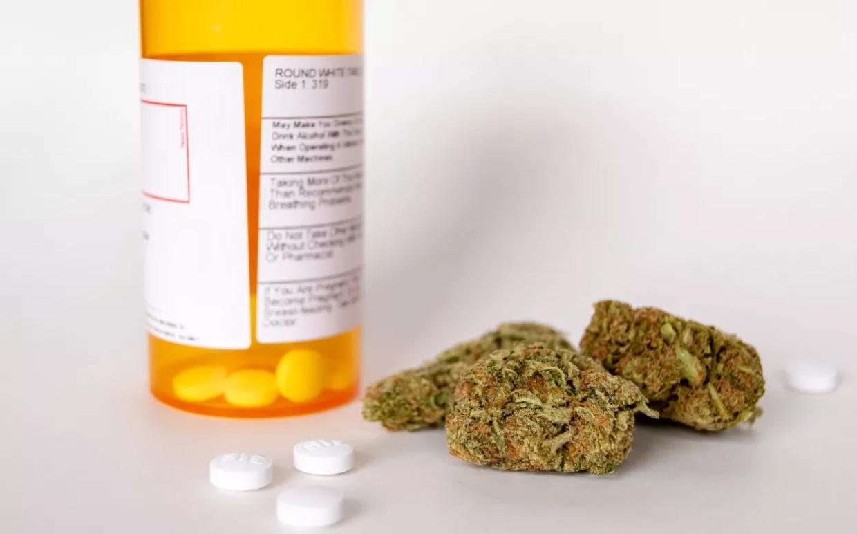 Medical Marijuana Will Be a Legal Alternative to Opioids in Colorado