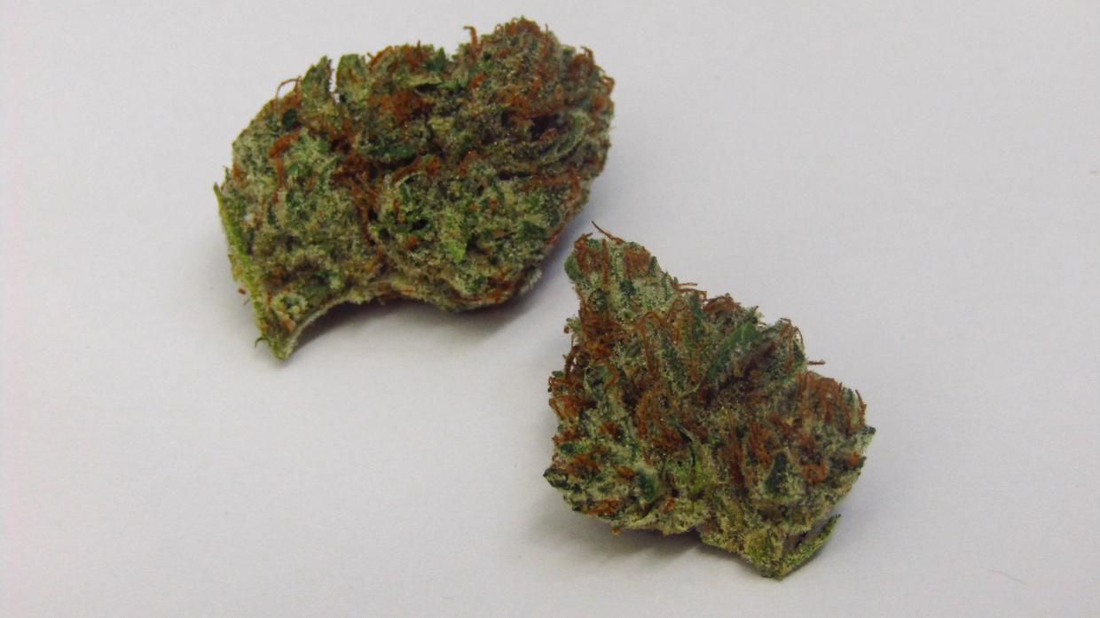 Why Colorado Tokers Love Lilac Diesel