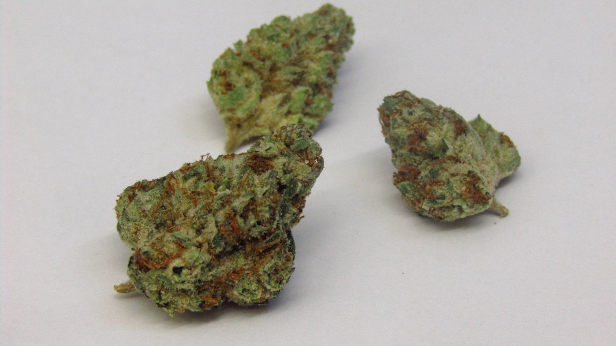 Why Colorado Tokers Love Strawberry Milkshake