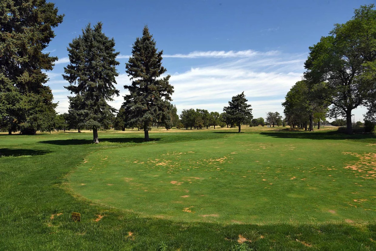 Denver Starting Small-Area Planning Process for Park Hill Golf Club